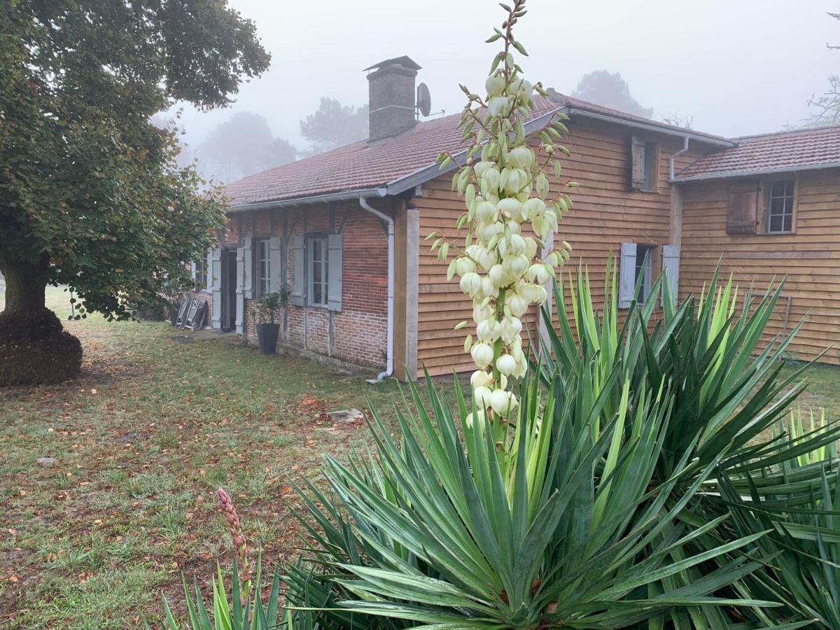 Maison Magnolia Onesse-et-Laharie Exterior photo